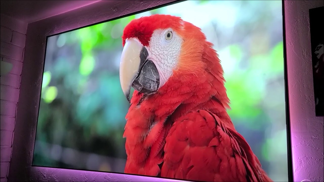 Projector Screen and MosicGO®​ Ultra-Short Throw Projector