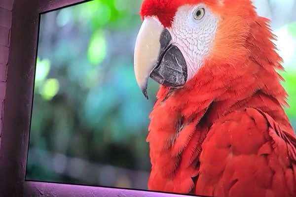 4K Video Ultra Short Throw Projector